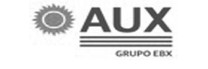 AuxGrupoEBX_byn